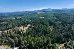 32553 S Dhooghe Rd, Molalla, OR 97038 - Photo 45