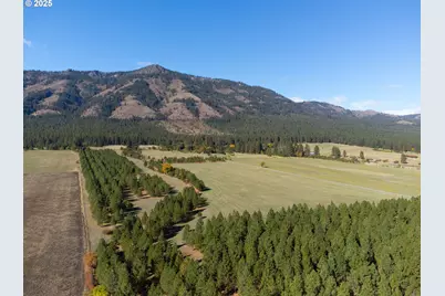 65255 Hunter Rd, La Grande, OR 97850 - Photo 41