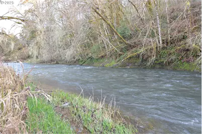1397 State Route 506, Vader, WA 98593 - Photo 37