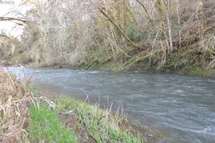 1397 State Route 506, Vader, WA 98593 - Photo 37