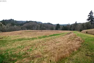 1397 State Route 506, Vader, WA 98593 - Photo 33