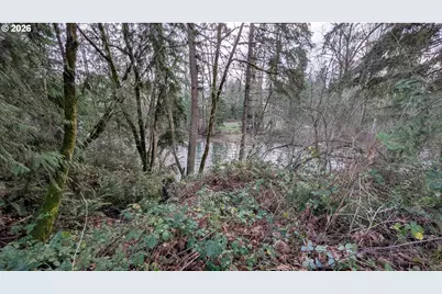 16150 S Riverview Rd, Molalla, OR 97038 - Photo 5