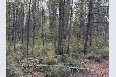 Cloudcap Drive #1, Chiloquin, OR 97624 - Photo 9