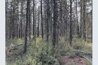 Cloudcap Drive #1, Chiloquin, OR 97624 - Photo 13