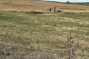 38901 Hwy 86, Richland, OR 97870 - Photo 9