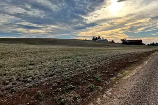 39986 Gisler Rd, Scio, OR 97374 - Photo 37