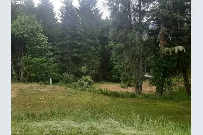 252 May Creek Rd, Days Creek, OR 97429 - Photo 5