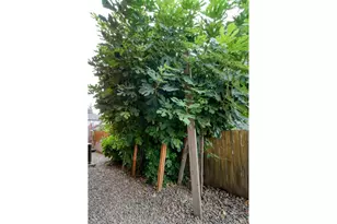 3228 Northeast Daffodil Drive, McMinnville, OR 97128 - Photo 31