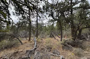 Bunting Dr, Bonanza, OR 97623 - Photo 1