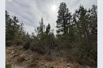 Bunting Dr, Bonanza, OR 97623 - Photo 3