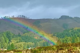 58 Alger Creek Heights Rd, Cathlamet, WA 98612 - Photo 37