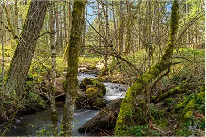 445 Country Club Rd, Hood River, OR 97031 - Photo 23