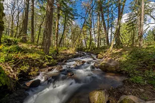 445 Country Club Rd, Hood River, OR 97031 - Photo 1