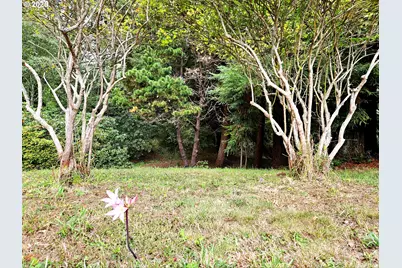 614 Hassett St, Brookings, OR 97415 - Photo 39