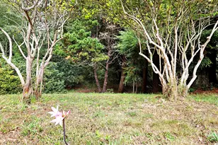 614 Hassett St, Brookings, OR 97415 - Photo 39