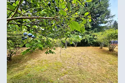 614 Hassett St, Brookings, OR 97415 - Photo 9