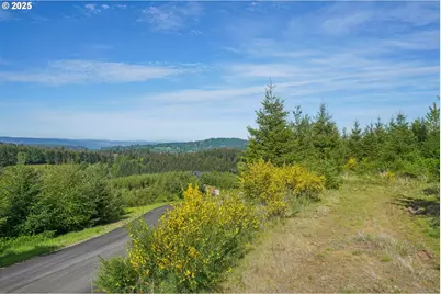 143 Bootjack Ln #Lot 1, Kelso, WA 98626 - Photo 35