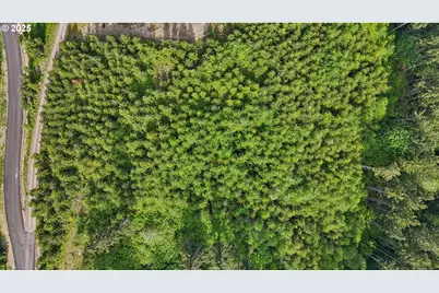 143 Bootjack Ln #Lot 1, Kelso, WA 98626 - Photo 17