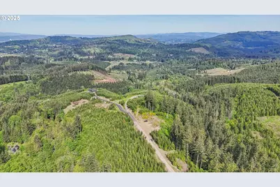 143 Bootjack Ln #Lot 1, Kelso, WA 98626 - Photo 19