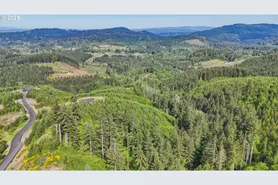 143 Bootjack Ln #Lot 1, Kelso, WA 98626 - Photo 13