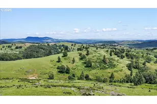 331 Metz Hill Rd, Oakland, OR 97462 - Photo 9