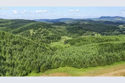 331 Metz Hill Rd, Oakland, OR 97462 - Photo 13