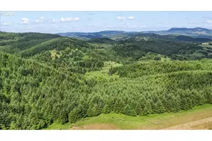 331 Metz Hill Rd, Oakland, OR 97462 - Photo 13