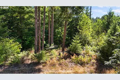 55778 SW Scoggins Valley Rd, Gaston, OR 97119 - Photo 41