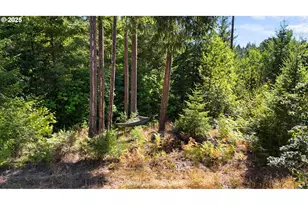 55778 SW Scoggins Valley Rd, Gaston, OR 97119 - Photo 41