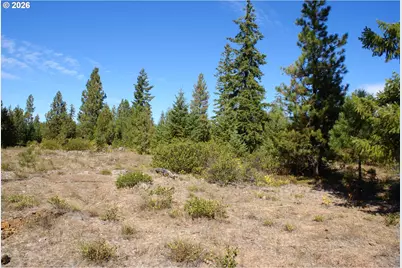 Cedar Valley Rd, Goldendale, WA 98620 - Photo 13