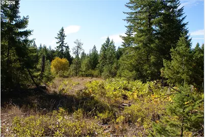 Cedar Valley Rd, Goldendale, WA 98620 - Photo 7