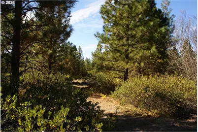Cedar Valley Rd, Goldendale, WA 98620 - Photo 9
