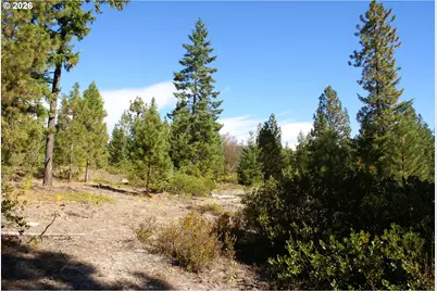 Cedar Valley Rd, Goldendale, WA 98620 - Photo 3