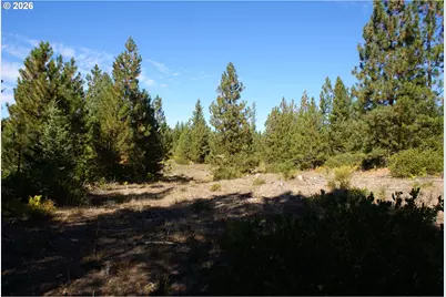 Cedar Valley Rd, Goldendale, WA 98620 - Photo 11
