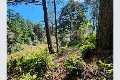 92504 Paradise Point Rd, Port Orford, OR 97465 - Photo 35