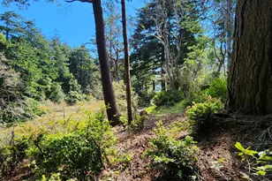 92504 Paradise Point Rd, Port Orford, OR 97465 - Photo 35
