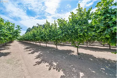 14604 Woodburn Monitor Rd, Woodburn, OR 97071 - Photo 41