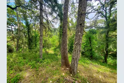 464 Homestead Dr, Myrtle Creek, OR 97457 - Photo 37