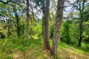 464 Homestead Dr, Myrtle Creek, OR 97457 - Photo 37