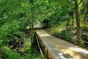 464 Homestead Dr, Myrtle Creek, OR 97457 - Photo 3