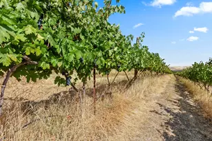 2018 Steele Rd, The Dalles, OR 97058 - Photo 33