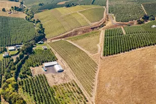 2018 Steele Rd, The Dalles, OR 97058 - Photo 9