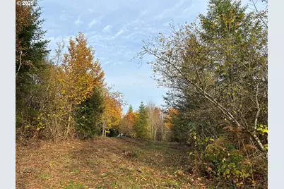 Ne Fargher Dr #1, Yacolt, WA 98675 - Photo 5
