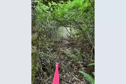 Ne Fargher Dr #1, Yacolt, WA 98675 - Photo 19