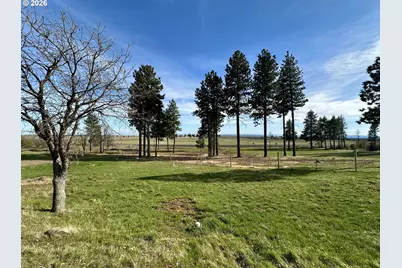 3021 Bickleton Hwy, Bickleton, WA 99322 - Photo 3