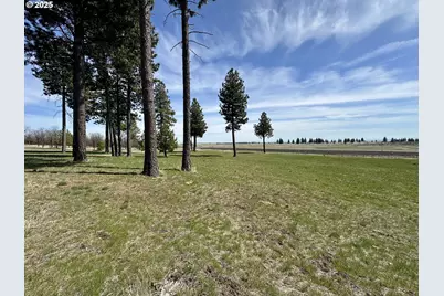 3021 Bickleton Hwy, Bickleton, WA 99322 - Photo 5