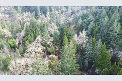 0 NE Lookingglass Lot 1,2 Rd, Roseburg, OR 97471 - Photo 41