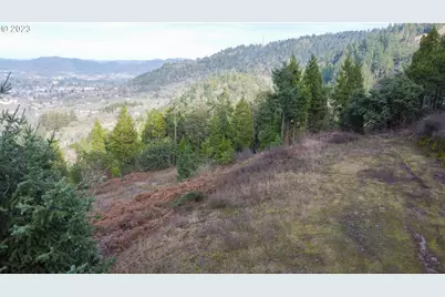 0 NE Lookingglass Lot 1,2 Rd, Roseburg, OR 97471 - Photo 35