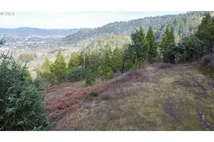 0 NE Lookingglass Lot 1 2 Rd, Roseburg, OR 97471 - Photo 35