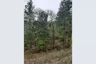 0 NE Lookingglass Lot 1,2 Rd, Roseburg, OR 97471 - Photo 21